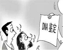 邵阳正规DNA鉴定医院，邵阳妇幼保建院DNA鉴定流程是怎样的